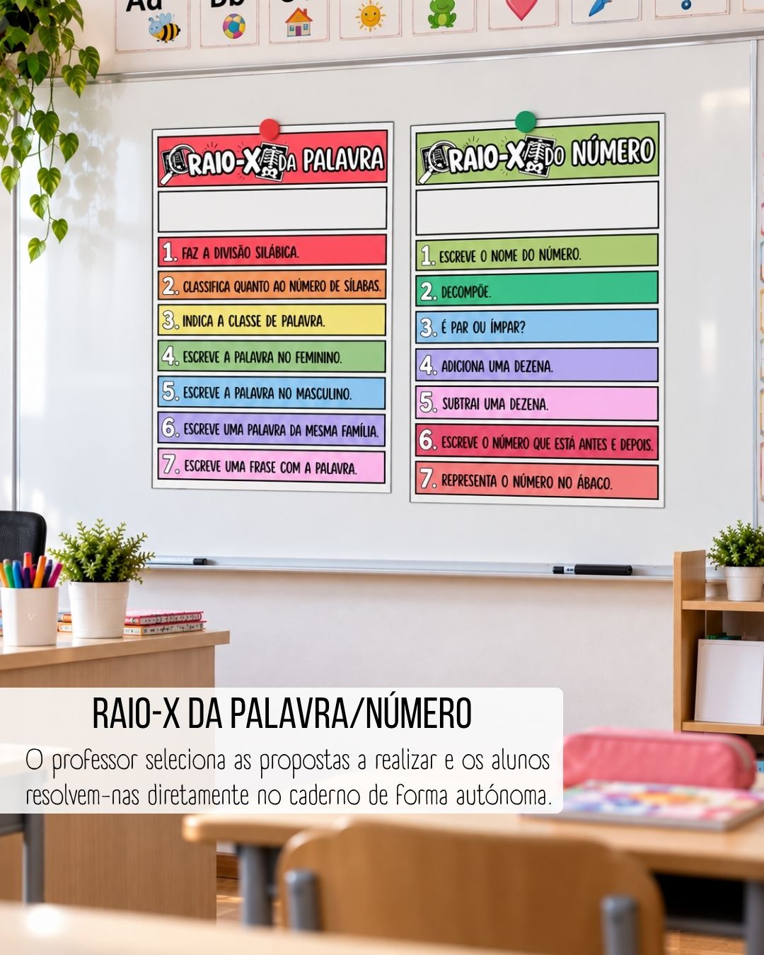 Raio-X da Palavra/Número