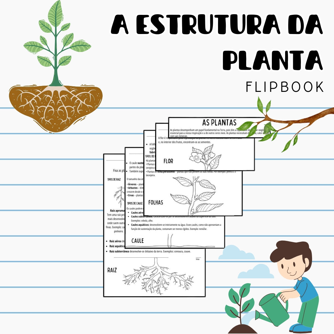Flipbook - Estrutura da planta