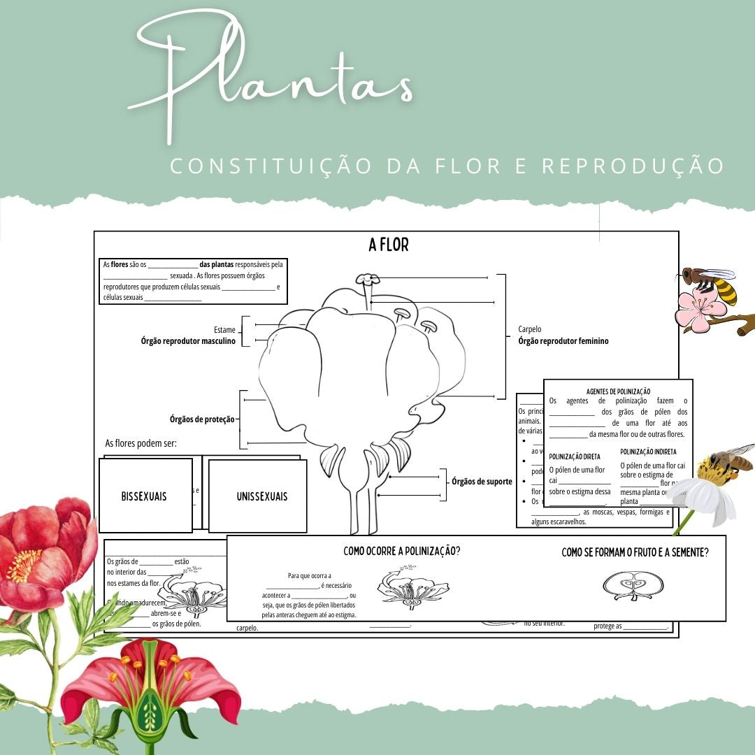 Constituição da flor e reprodução