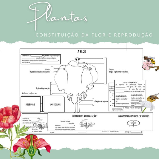 Constituição da flor e reprodução