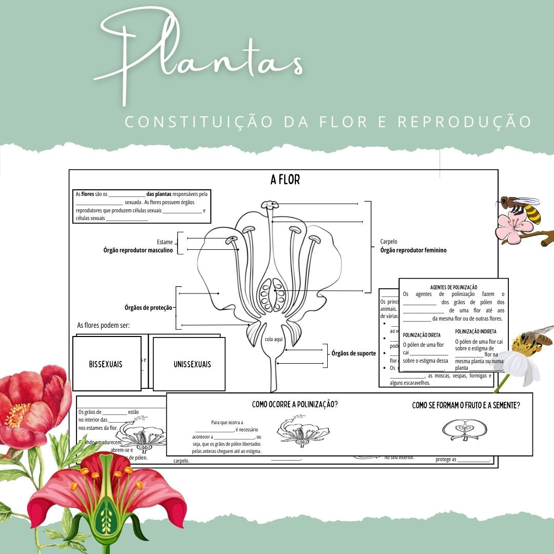 Constituição da flor e reprodução