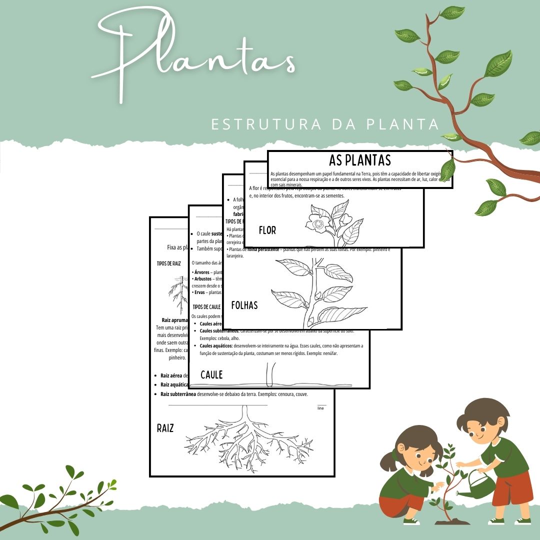 Flipbook - Estrutura da planta